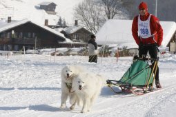 Lenk 2012 SM